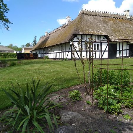 Baekgaarden B&B Lyndelse Exterior foto